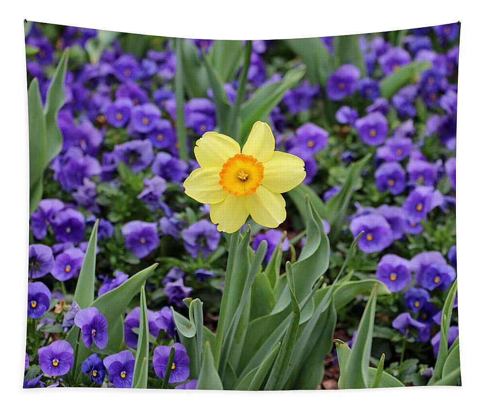 Daffodil Tapestry featuring the photograph Texas Blooms 39 by Pamela Critchlow