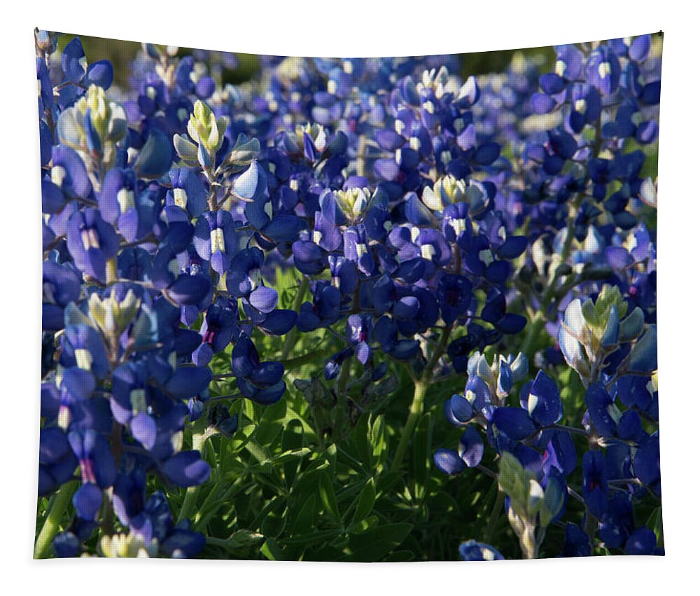 Bluebonnet Tapestry featuring the photograph Texas Bluebonnets in the Sun by Frank Madia
