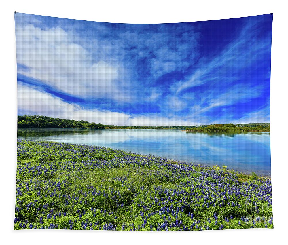Austin Tapestry featuring the photograph Texas Bluebonnets by Raul Rodriguez