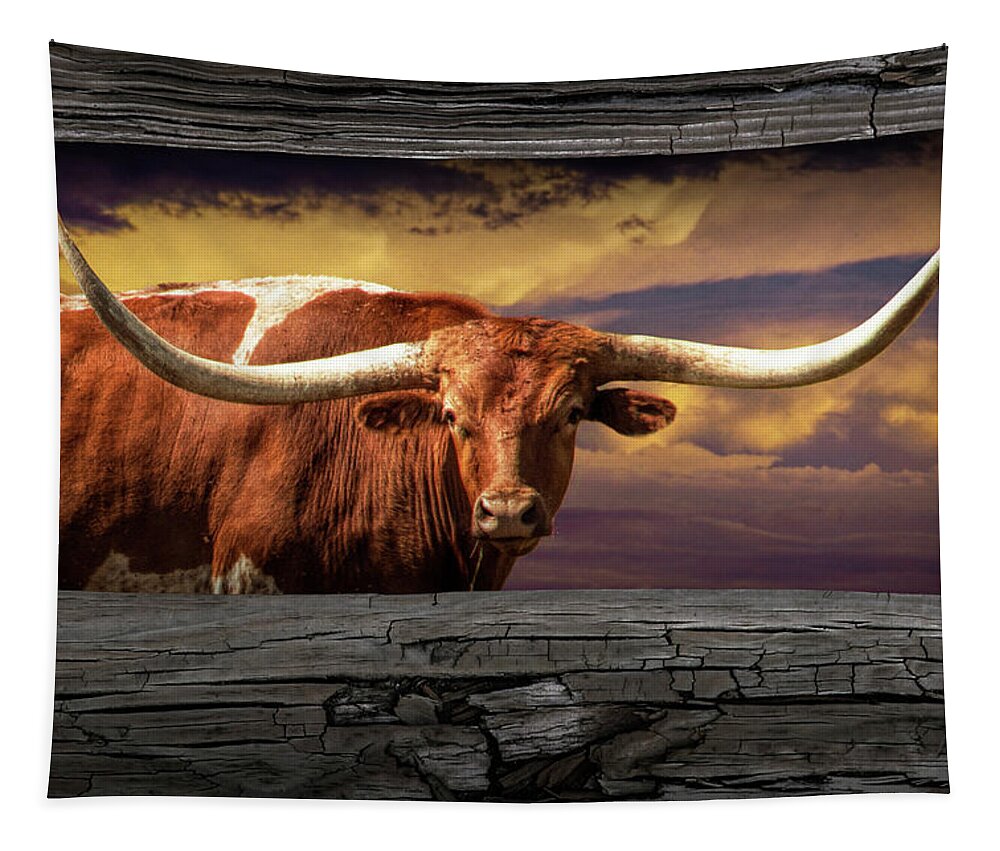 Longhorn Tapestry featuring the photograph Texas Longhorn Steer at Sunset looking through the Fence Rails by Randall Nyhof