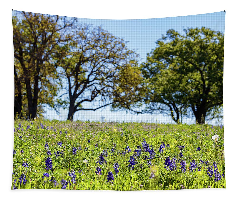 Austin Tapestry featuring the photograph Texas Wildflowers by Raul Rodriguez