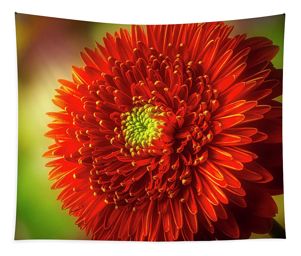 Color Tapestry featuring the photograph Textured Beautiful Dahlia by Garry Gay