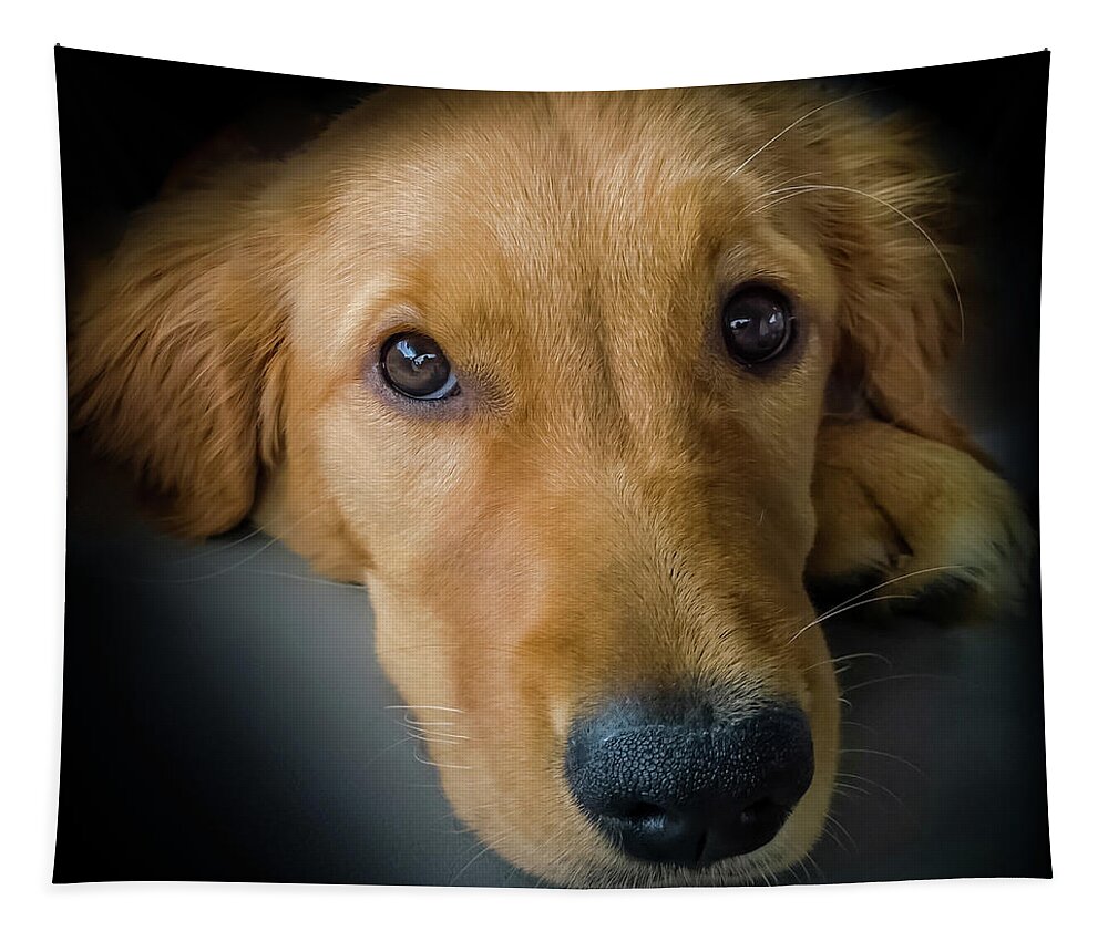 Golden Retriever Puppies Tapestry featuring the photograph Thanks For Picking Me by Karen Wiles