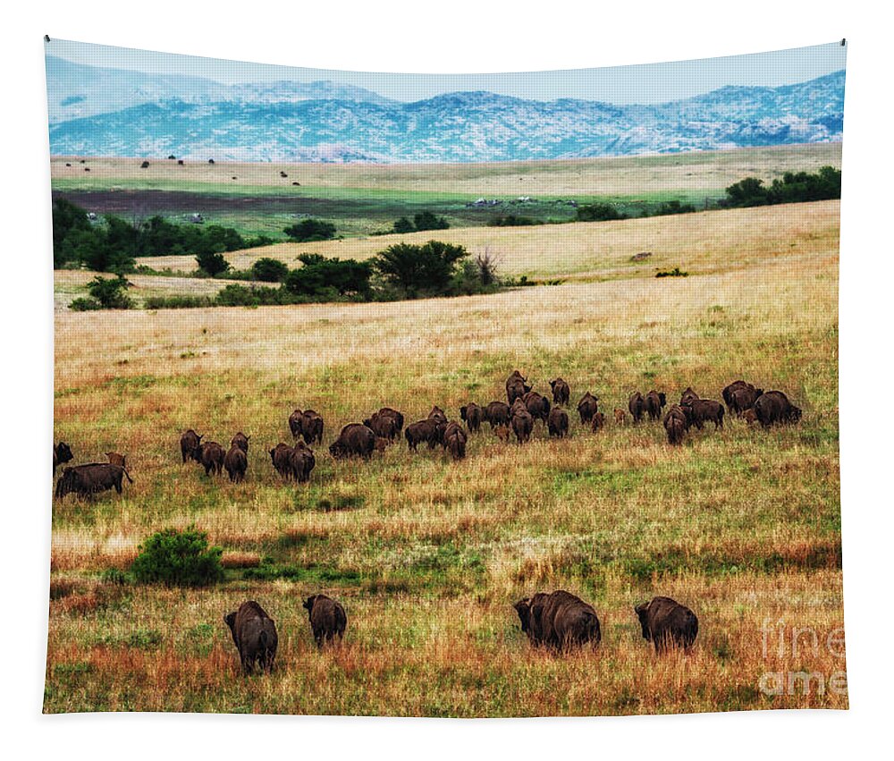 Buffalo Tapestry featuring the photograph The American Bison Herd by Tamyra Ayles