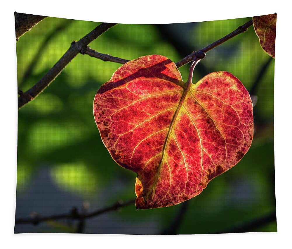 Fall Tapestry featuring the photograph The Autumn Heart by Bill Pevlor