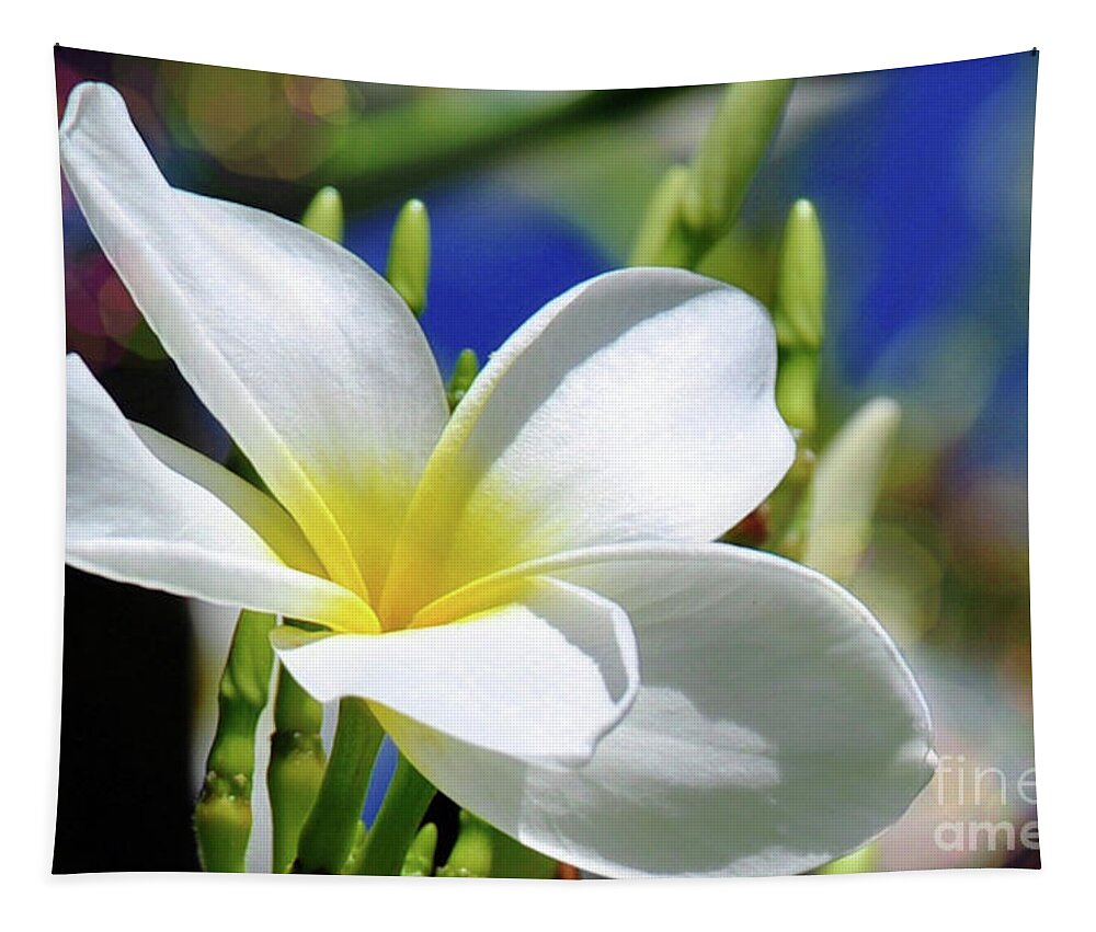 Flower Tapestry featuring the photograph The Beautiful Plumeria by Elaine Manley