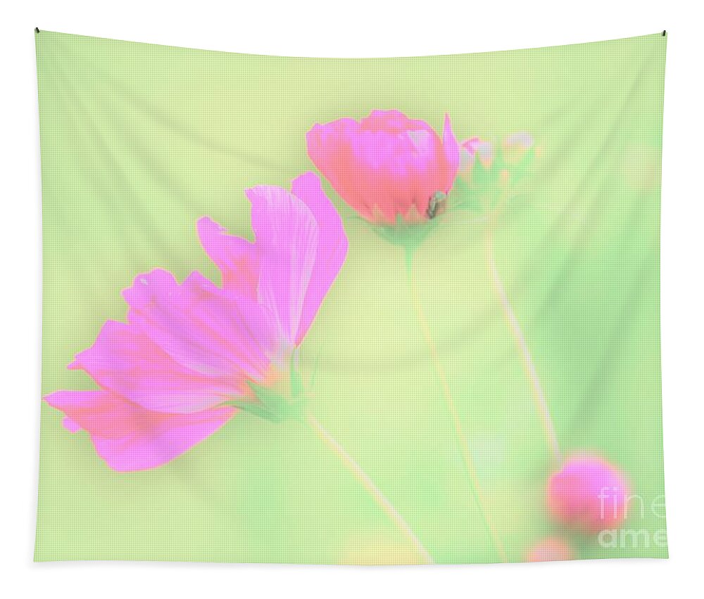Flowers Tapestry featuring the photograph The Beauty Before Me by Merle Grenz