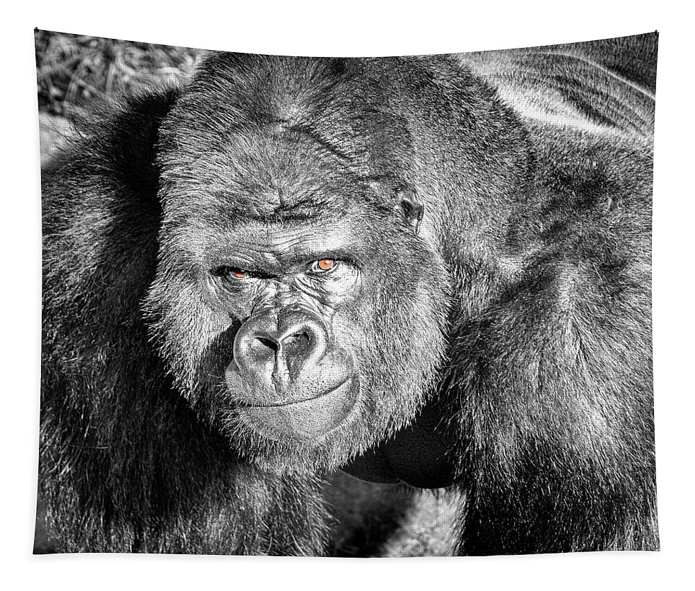 The Bouncer Tapestry featuring the photograph The Bouncer Gorilla by David Millenheft
