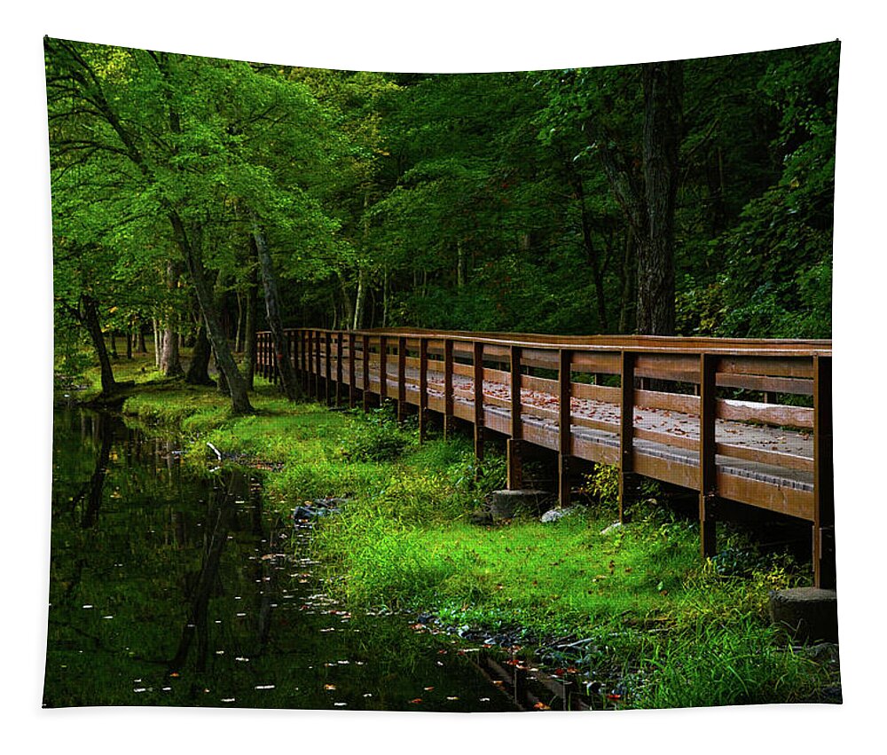 The Bridge At Wolfe Park Tapestry featuring the photograph The Bridge at Wolfe Park by Karol Livote