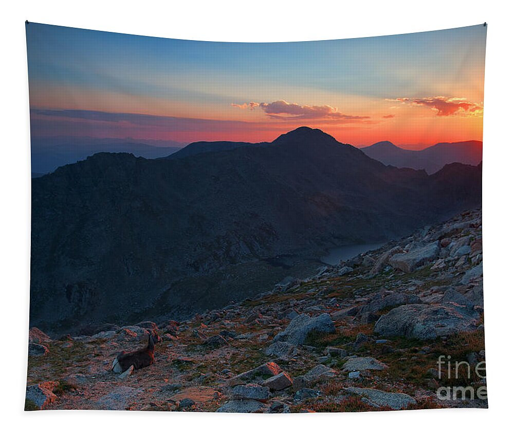 Mt. Evans Sunset Tapestry featuring the photograph The Campground by Jim Garrison
