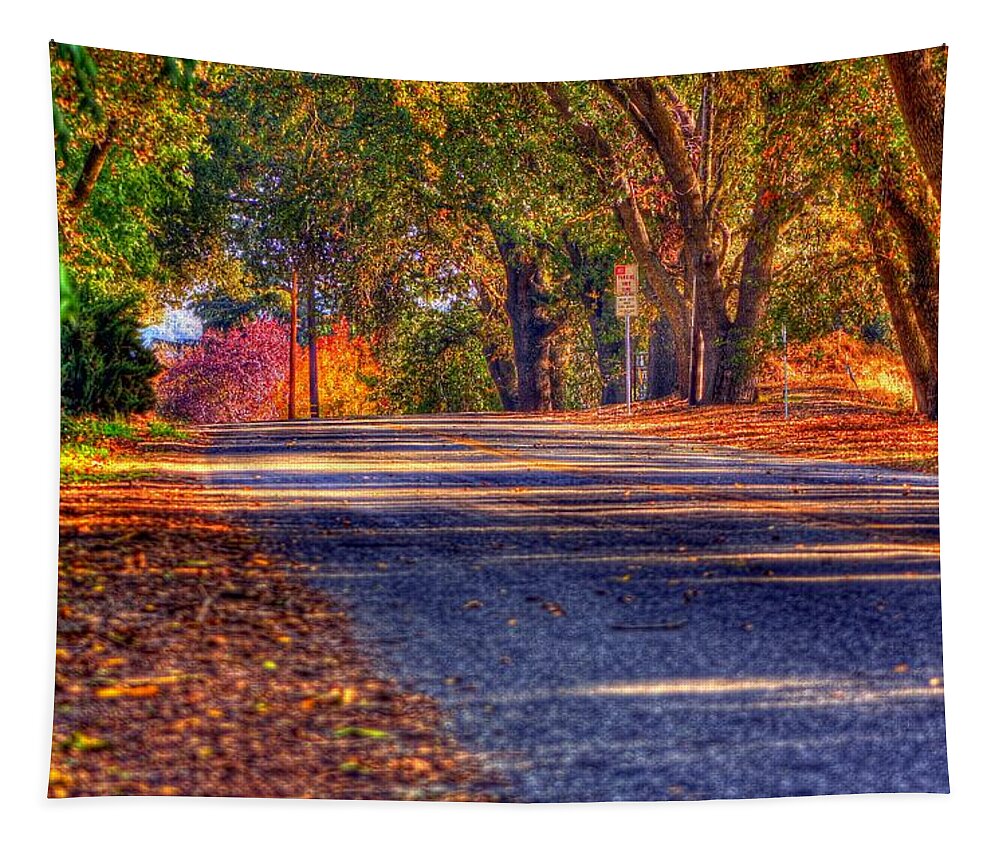 Hdr Tapestry featuring the photograph The Colors of Fall by Randy Wehner