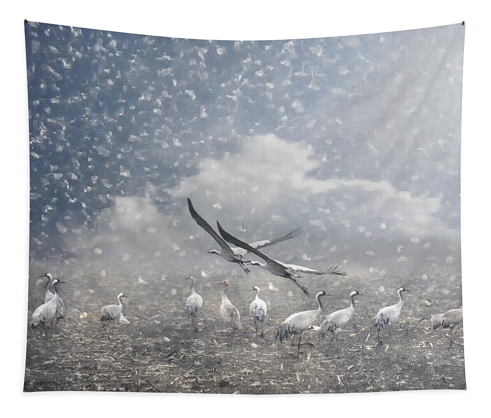 Animals Tapestry featuring the photograph the cranes of Fischland by Joachim G Pinkawa