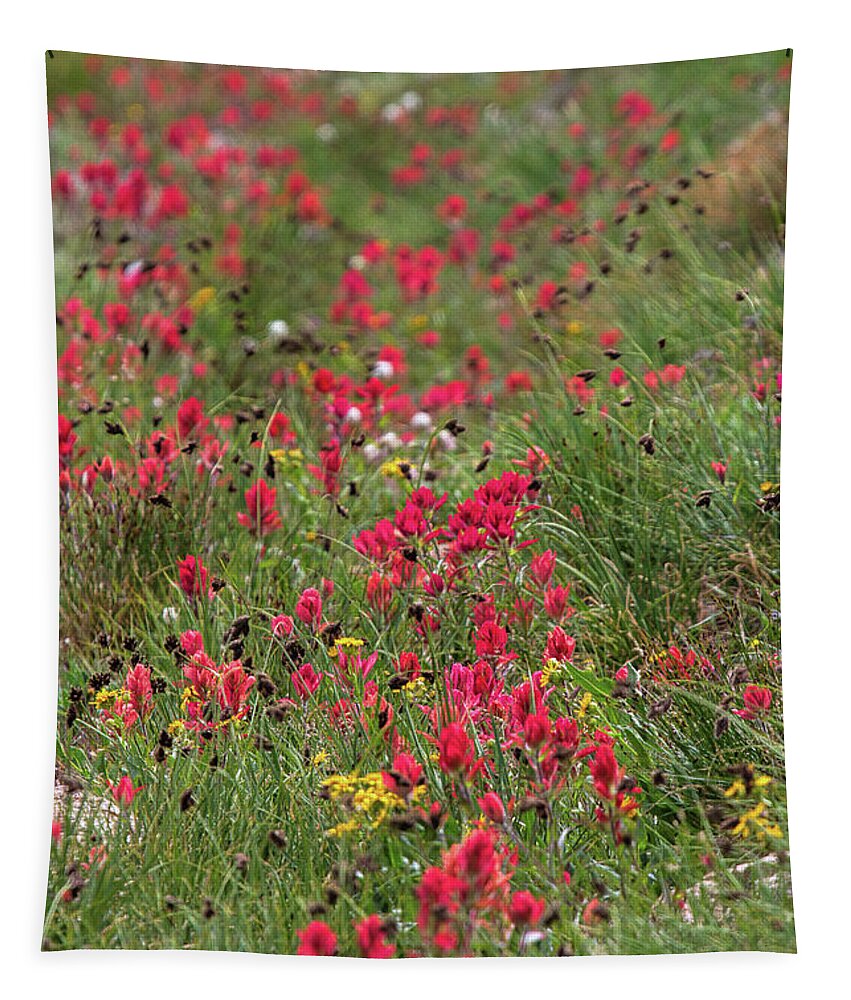 Red Wildflowers Tapestry featuring the photograph The Crimson Tide by Jim Garrison