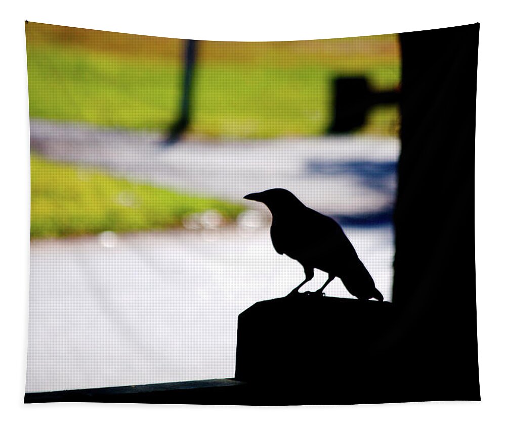 The Crow Awaits Tapestry featuring the photograph The Crow Awaits by Karol Livote