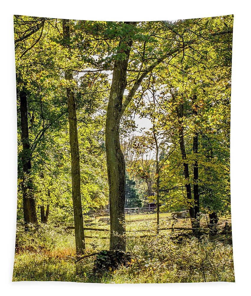Pasture Tapestry featuring the photograph The Edge of Summer by Carol Senske