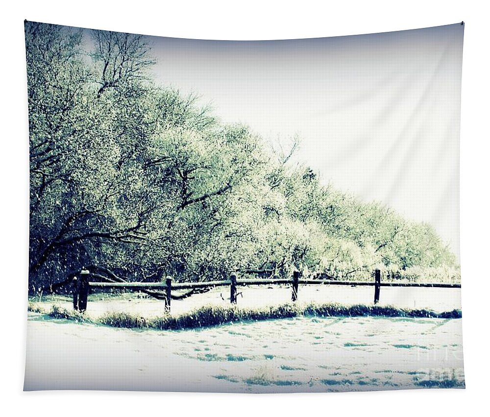 Trees Tapestry featuring the photograph The Fence by Julie Lueders 
