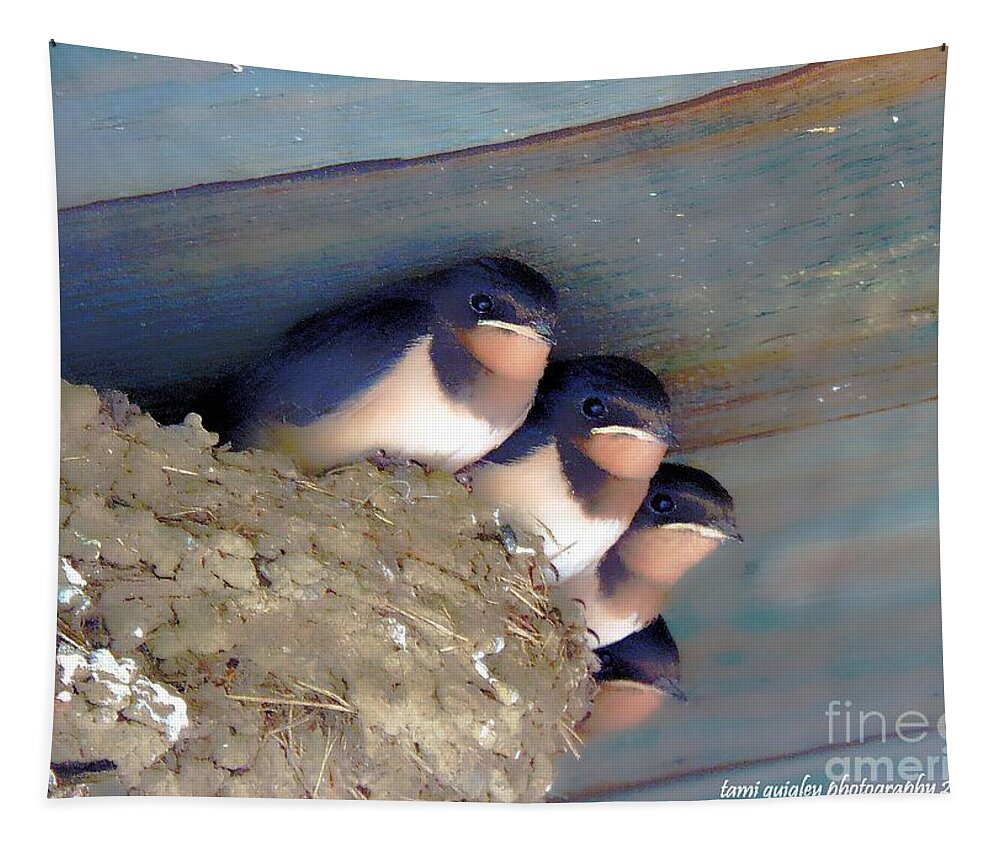 Barn Swallow Tapestry featuring the photograph The Four Musketeers by Tami Quigley