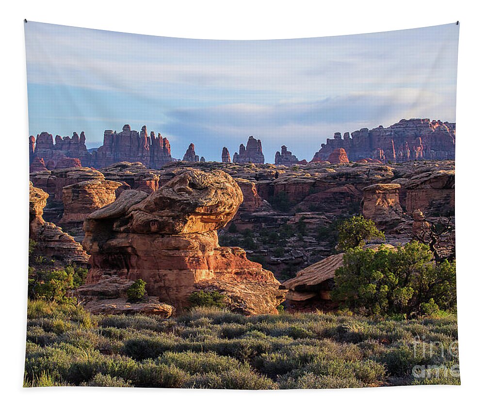 Utah Landscape Tapestry featuring the photograph The Garden Gate by Jim Garrison