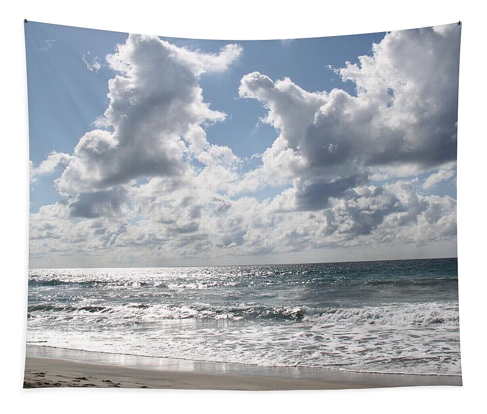 Oceanside Tapestry featuring the photograph The Gate Way To Heaven by Amy Gallagher