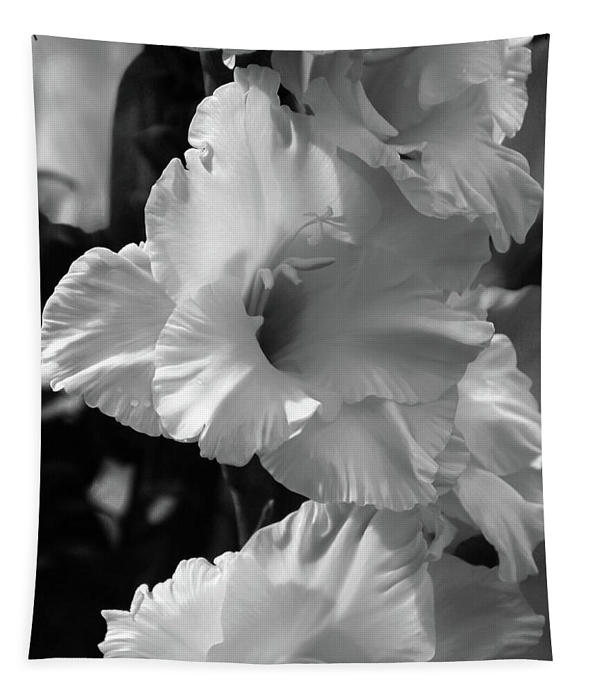 Gladiolus Tapestry featuring the photograph The Gladiolus In Black And White by Jeanette C Landstrom