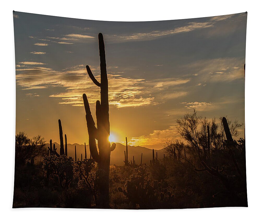 Landscape Tapestry featuring the photograph The Golden Hour by Teresa Wilson