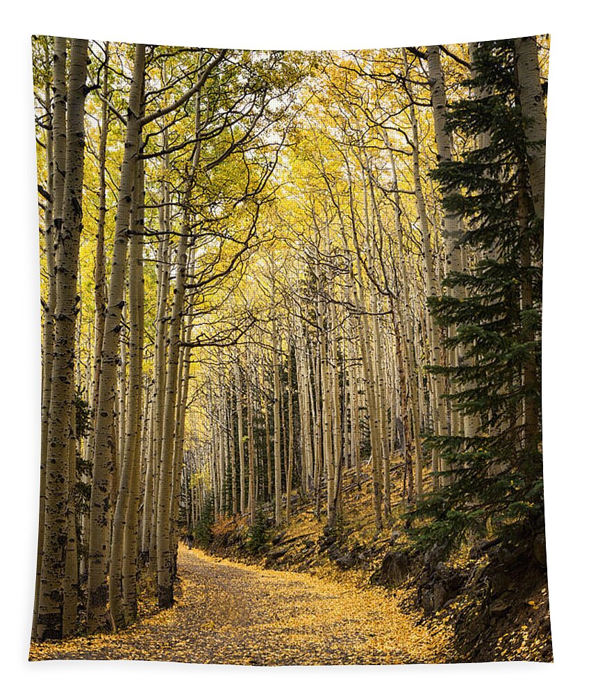 Fall Tapestry featuring the photograph The Golden Path by Saija Lehtonen