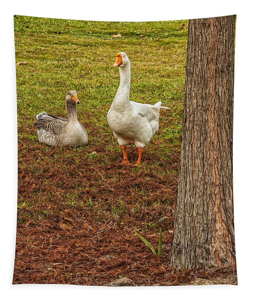 Geese Tapestry featuring the photograph The Goose And The Gander by Frances Ann Hattier