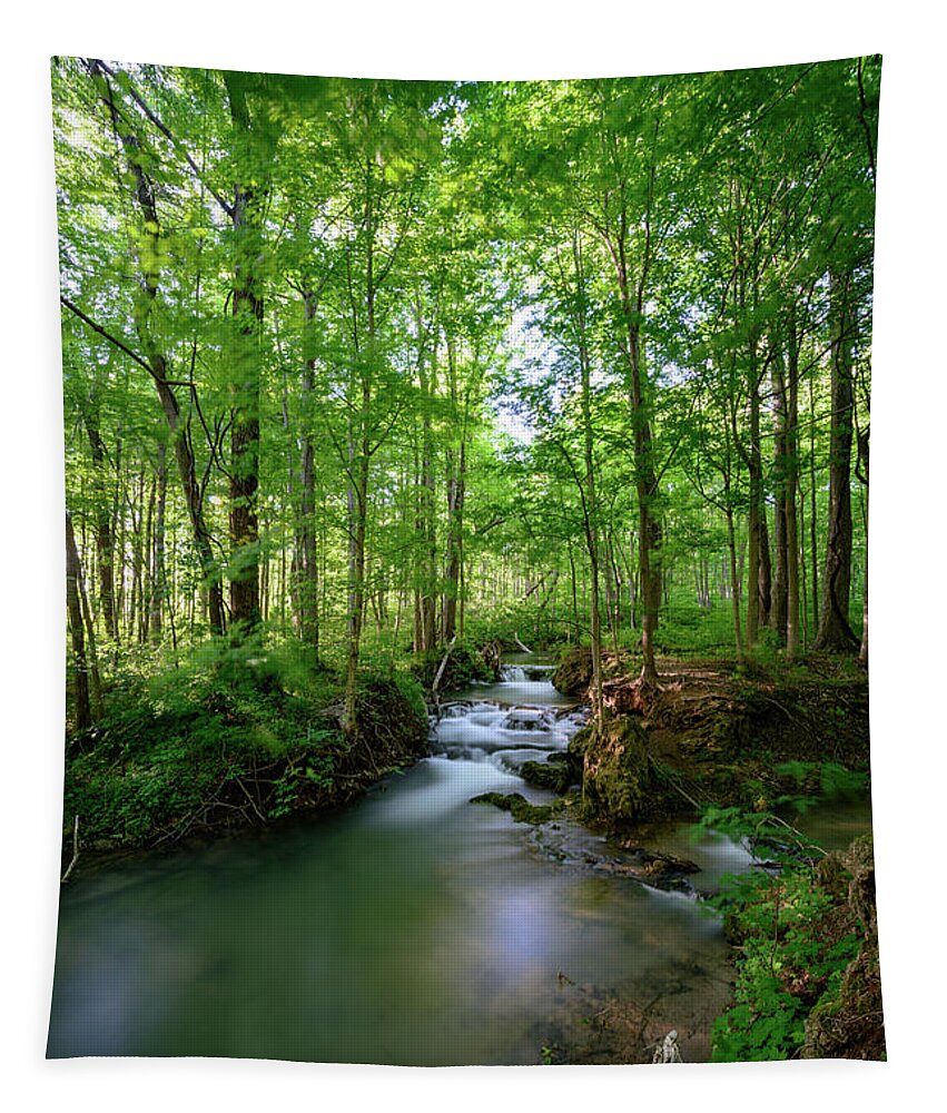Falling Springs Falls Tapestry featuring the photograph The Green Forest by Michael Scott