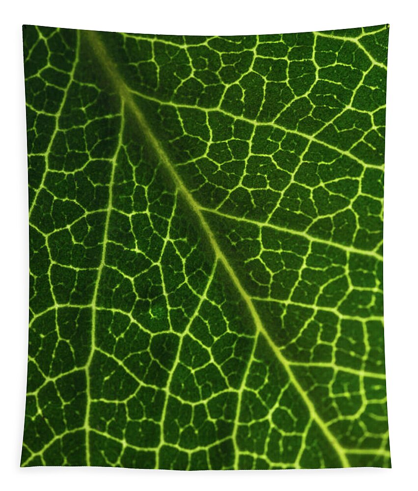Leaf Tapestry featuring the photograph The Green Network by Ana V Ramirez