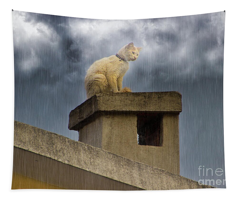 Cat Tapestry featuring the photograph The Hunt Goes On by Al Bourassa