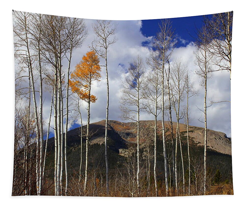 Silverthorne Tapestry featuring the photograph The Last Hurrah by Fiona Kennard