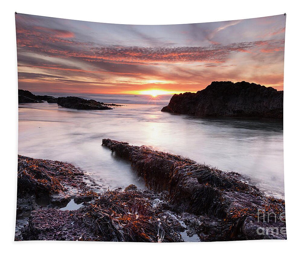 Last Tapestry featuring the photograph The Last Sunset on the Oregon coast by Masako Metz
