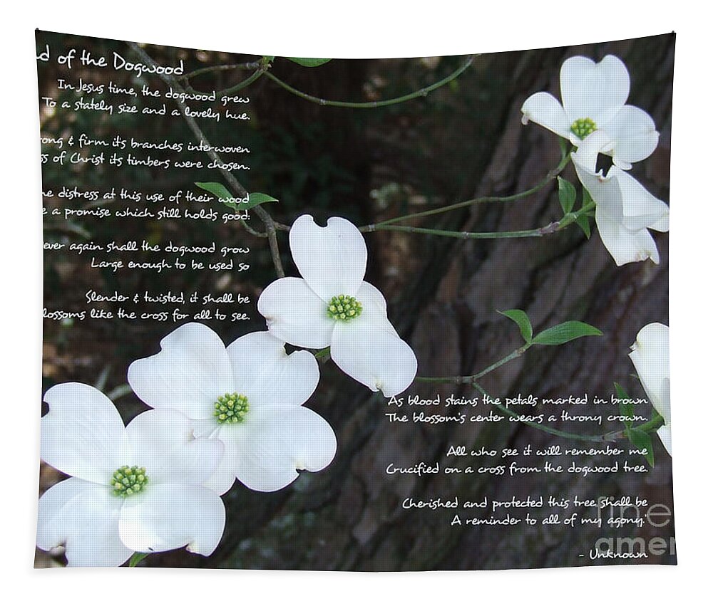 Dogwood Tapestry featuring the photograph The legend of the Dogwood by Andrea Anderegg