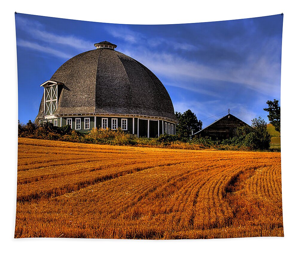 Leonard Barn Tapestry featuring the photograph The Leonard Barn by David Patterson