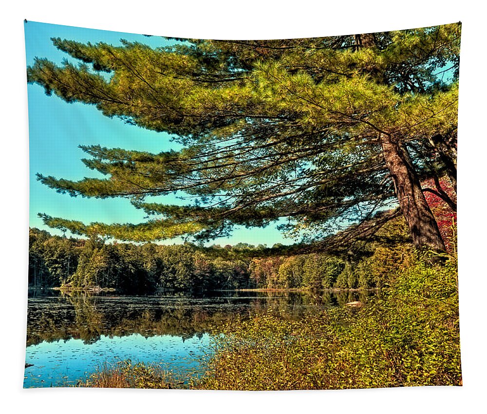 The Little Known Cary Lake Tapestry featuring the photograph The Little Known Cary Lake by David Patterson