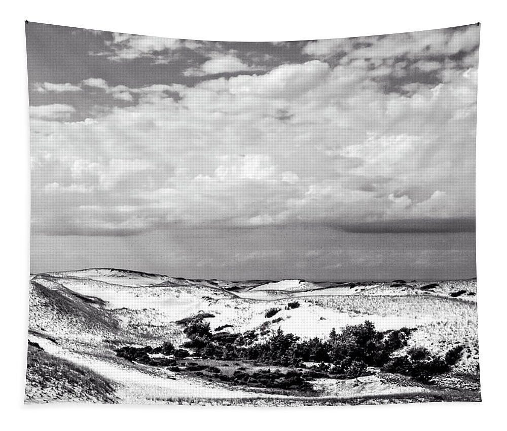 B&w Tapestry featuring the photograph The Measure by Frank Winters
