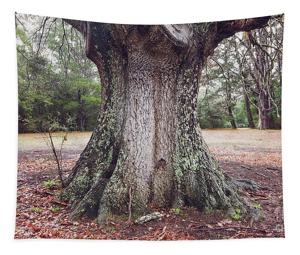 Oak Tapestry featuring the photograph The Mighty Oak by Linda Lees