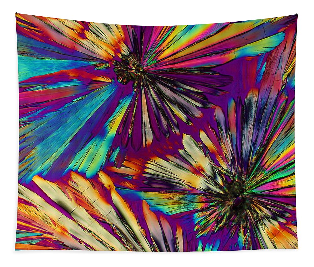 Crystals Tapestry featuring the photograph The Mind's Eye by Hodges Jeffery