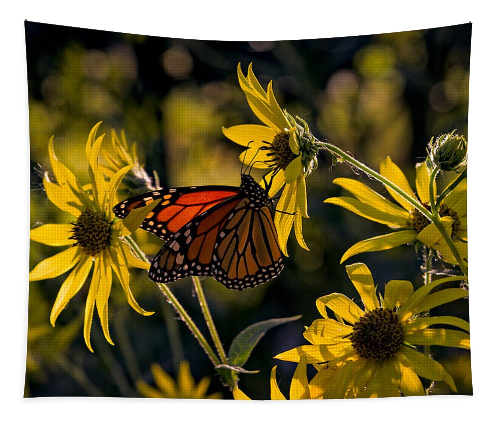 Monarch Tapestry featuring the photograph The Monarch And The Sunflower by Rick Berk