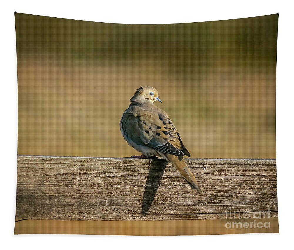 Wildlife Tapestry featuring the photograph The Morning Dove by Robert Frederick