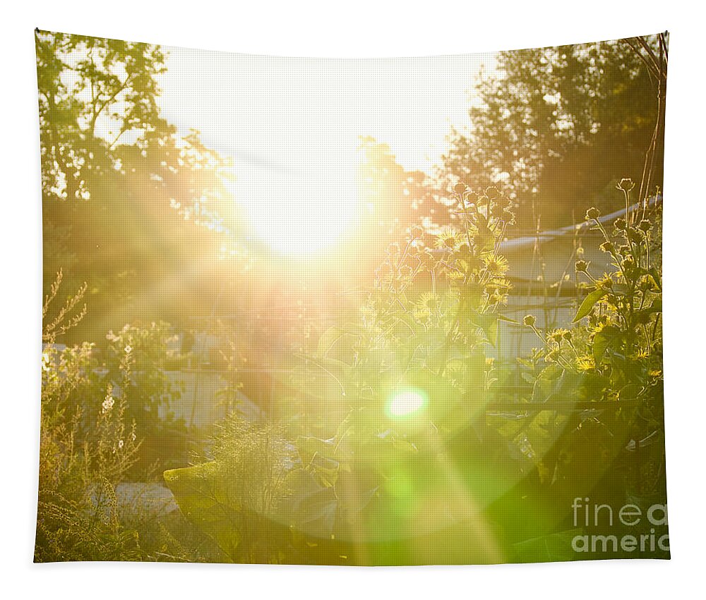 Garden Tapestry featuring the photograph The Nursery Garden at Sunrise by Rachel Morrison