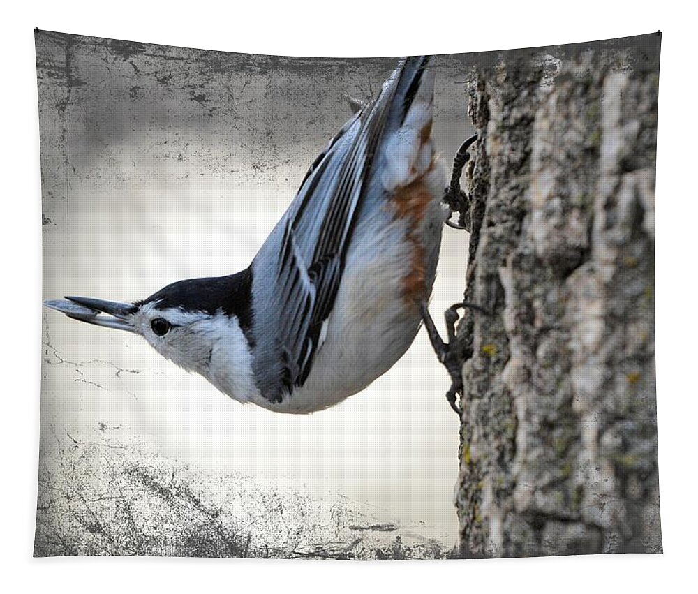  Tapestry featuring the photograph The Nuthatch 2 by Bonfire Photography