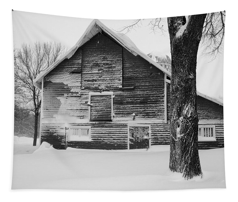 Barn Tapestry featuring the photograph The Old Barn by Julie Lueders 