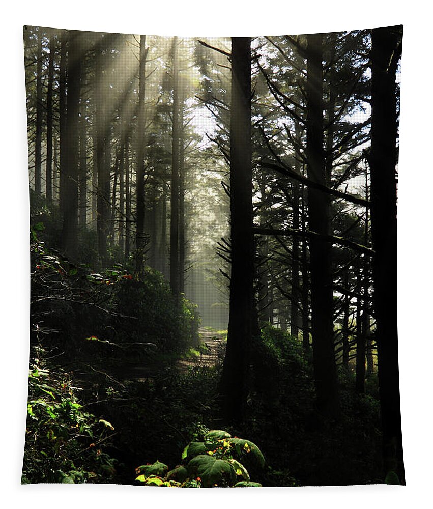 Inspirational Tapestry featuring the photograph The Path Back Home by James Eddy