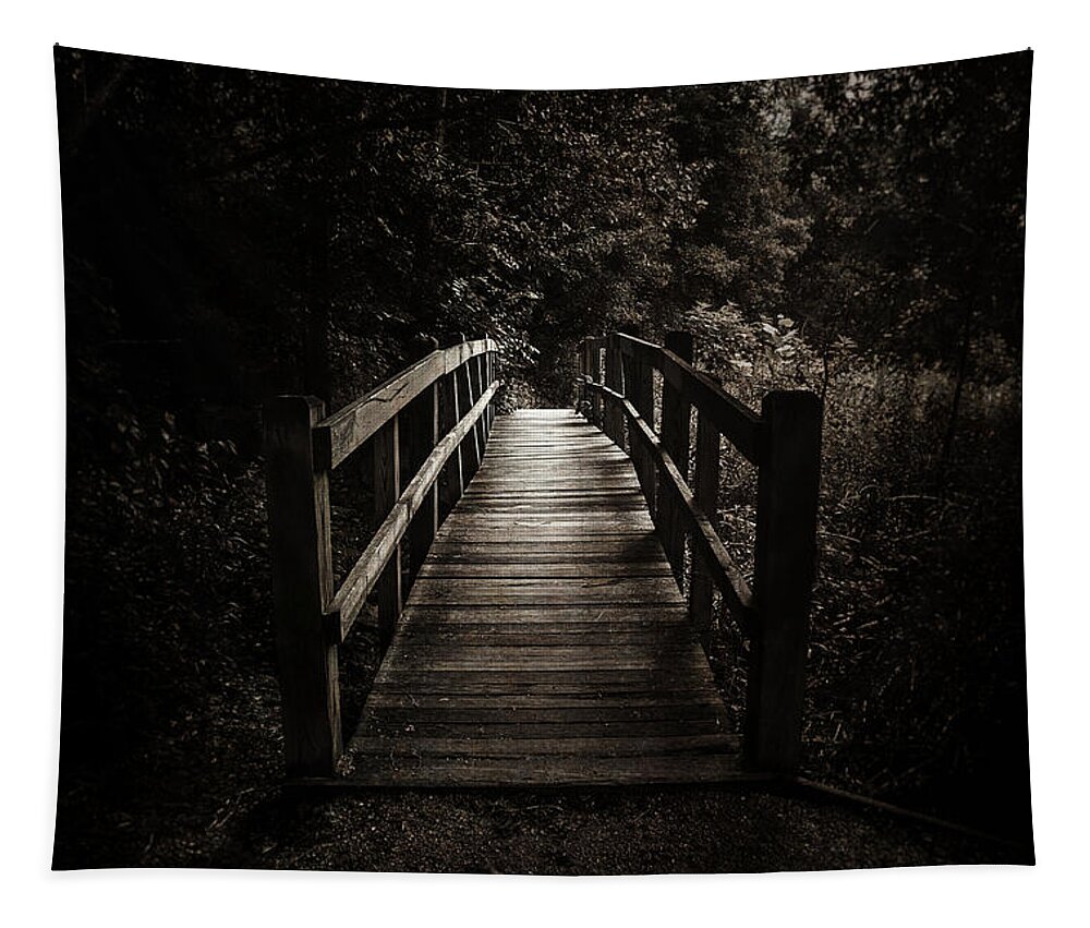 Black And White Tapestry featuring the photograph The Path Between Darkness and Light by Scott Norris