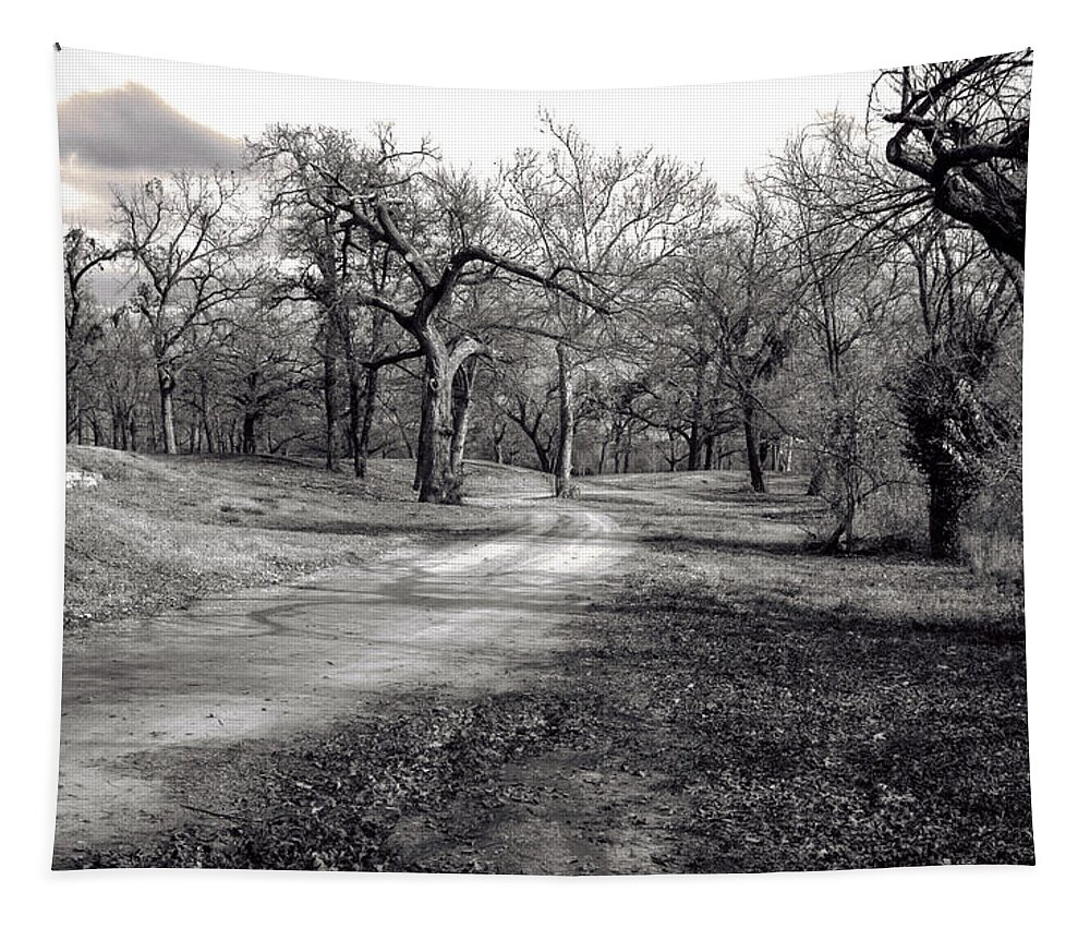 Jay Stockhaus Tapestry featuring the photograph The Pecan Grove by Jay Stockhaus