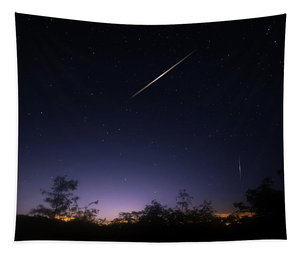 Meteor Shower Tapestry featuring the photograph The Perseid Meteor Shower by Mark Andrew Thomas