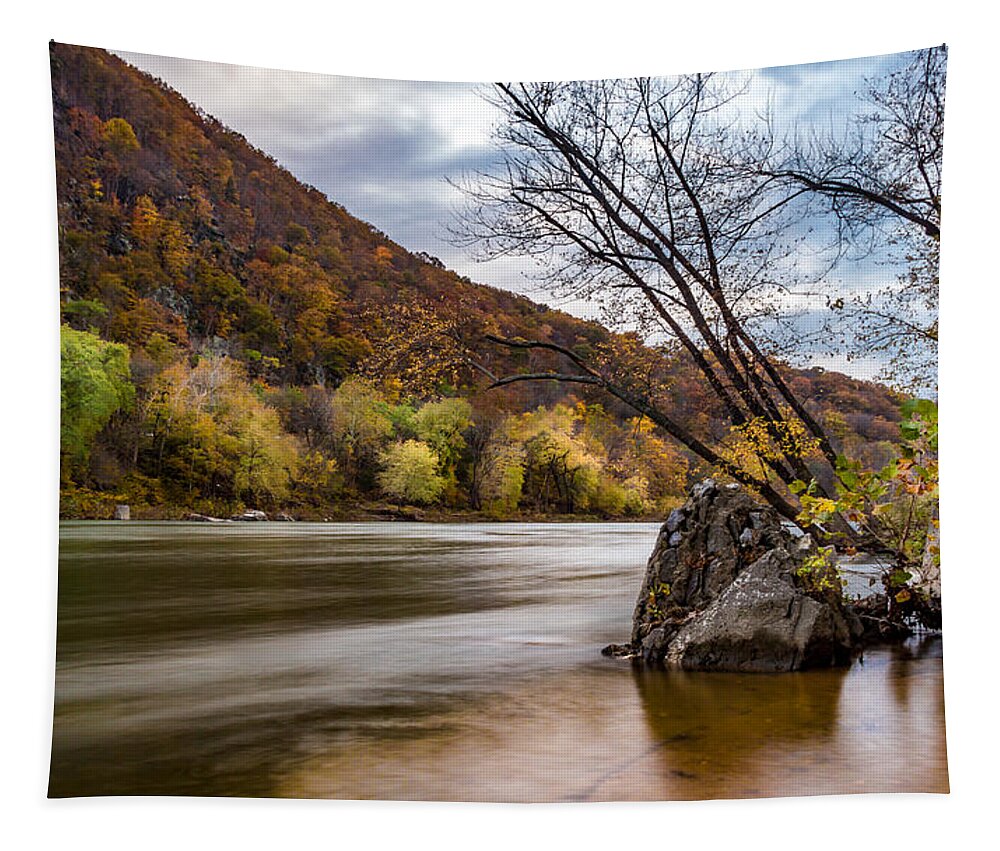 Autumn Tapestry featuring the photograph The Shenandoah in Autumn by Ed Clark