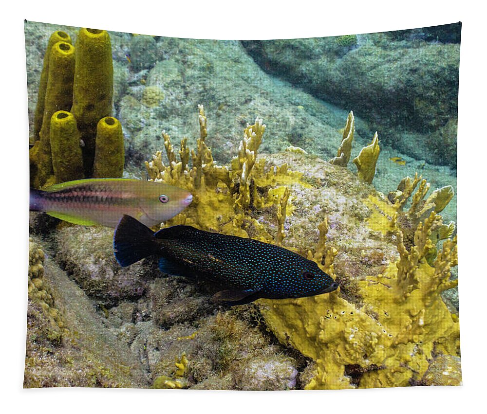 Ocean Tapestry featuring the photograph The Princess and the Grouper by Lynne Browne