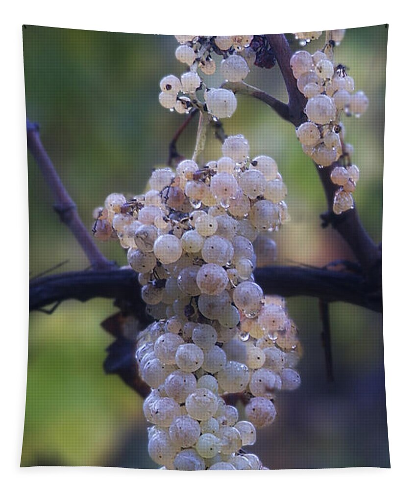 Grapes Tapestry featuring the photograph The Promise by Peggy Dietz